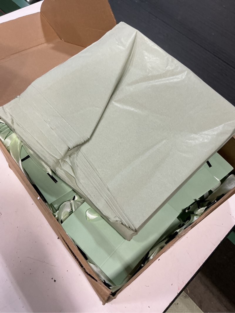 Condition photo showing Good Condition for zhanmai 100 pcs 4.7 x 2.4 x 3.9 inch mini gift bags bulk with tissue paper small kraft paper bag with handle gift tag for birthday party, wedding, graduation, mother's day, father's day(sage green) sage green 1 count (pack of 100)