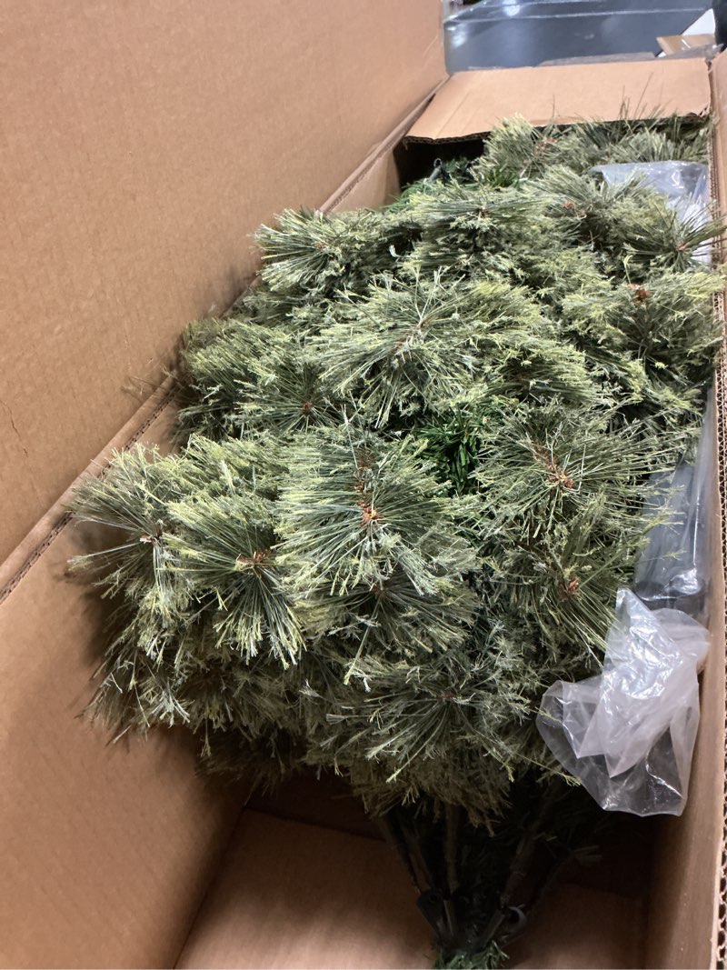 Condition photo showing Good Condition for National Tree Company First Traditions Arcadia Pine Cashmere Slim Christmas Tree with Hinged Branches, 7.5 ft