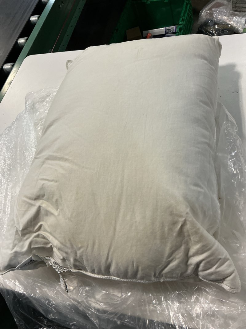 Condition photo showing As Is for premium down pillow, standard, medium