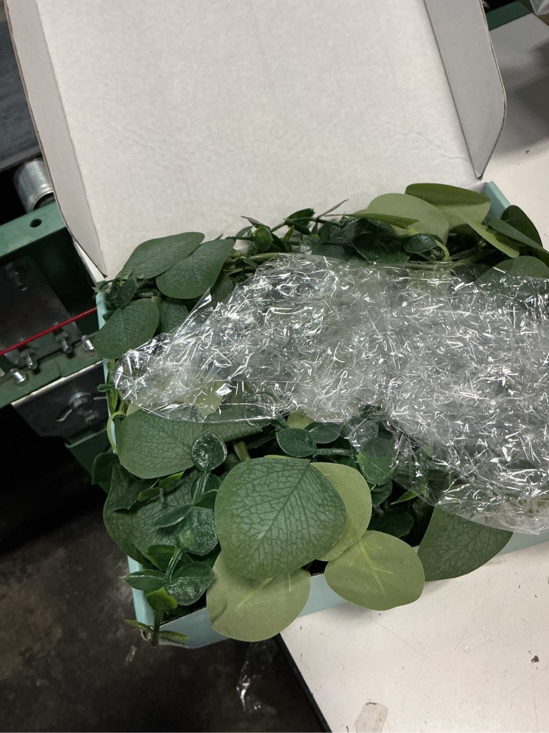 Condition photo showing As Is for dolicer 2 packs 6ft artificial eucalyptus garland faux greenery garland | fake vines hanging silver dollar eucalyptus leaves for wedding backdrop arch table wall party home decor