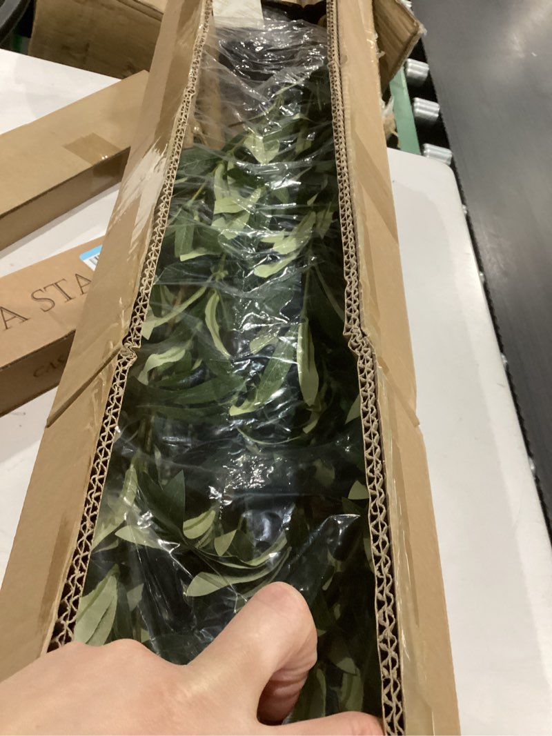 Condition photo showing As Is for Bellacat Faux Olive Tree 7ft?Olive Trees Artificial Indoor with Natural Wood Trunk and Realistic Leaves and Fruits. 7 Feet(84in) Fake Olive Tree for Home House Office Décor. 1 7ft