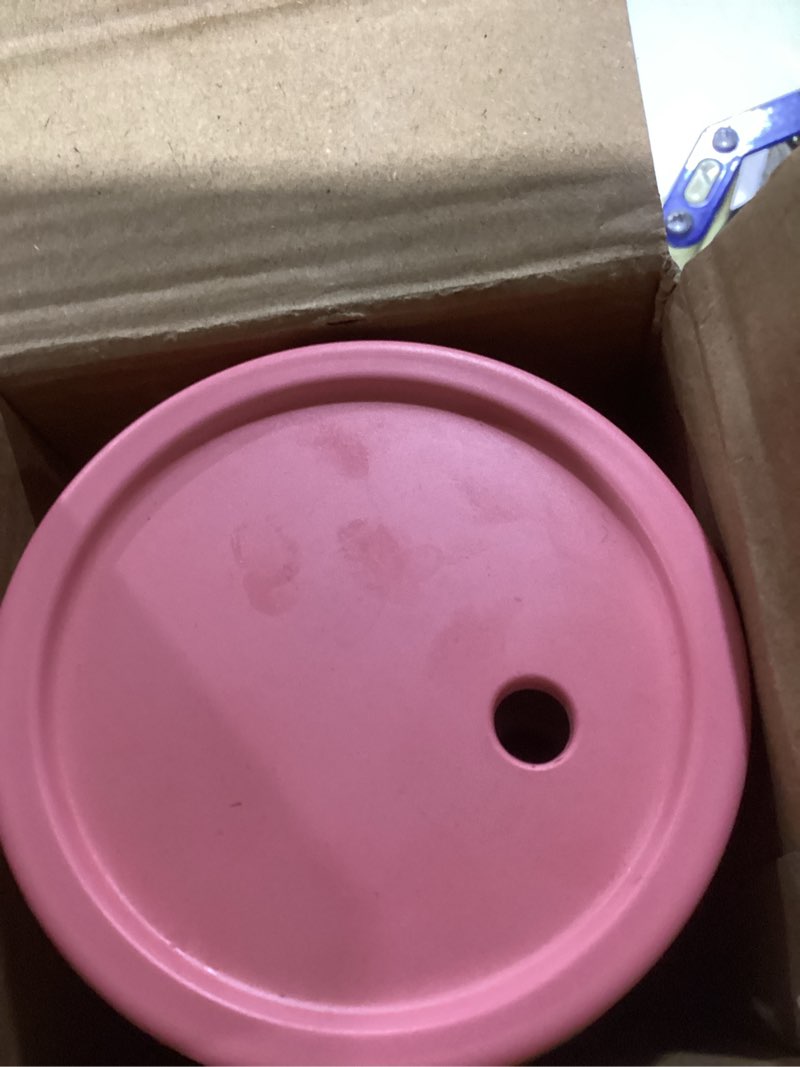 Condition photo showing New/Like New for Grow Forward Bamboo Kids Cups with Lids and Straws - 10oz Drinking Cups for Kids with Childproof Twist Lids & Silicone Straws - Eco Friendly, BPA Free, Non Toxic & Dishwasher Safe - Paradise