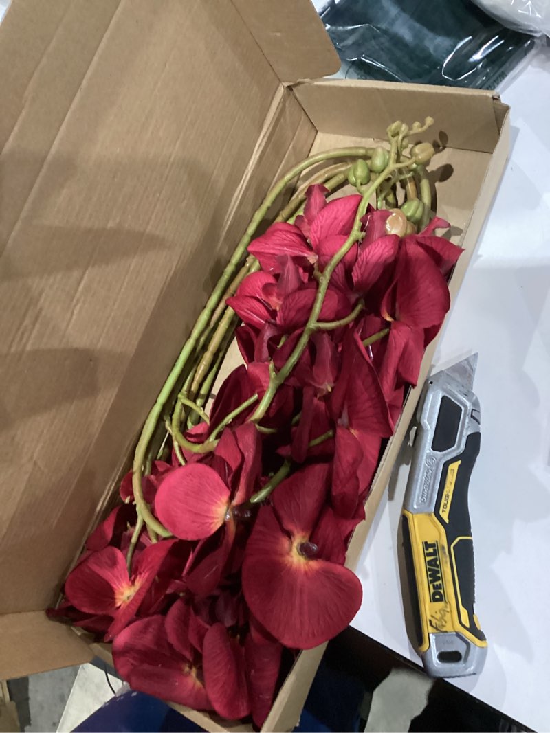 Condition photo showing As Is for Burgundy Flowers Artificial Orchids 5PCS Fake Orchid 35.4" Faux Orchid Stems Burugndy Artificial Flowers for Bridal Shower Wedding Centerpieces Home Decor (Burgundy)