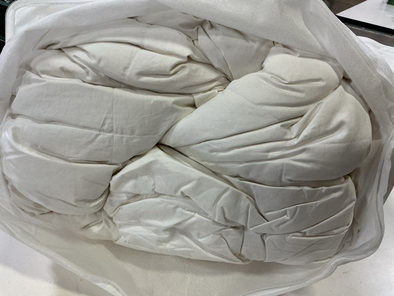Condition photo showing Good Condition for luxe goose down comforter duvet insert, full/queen, white