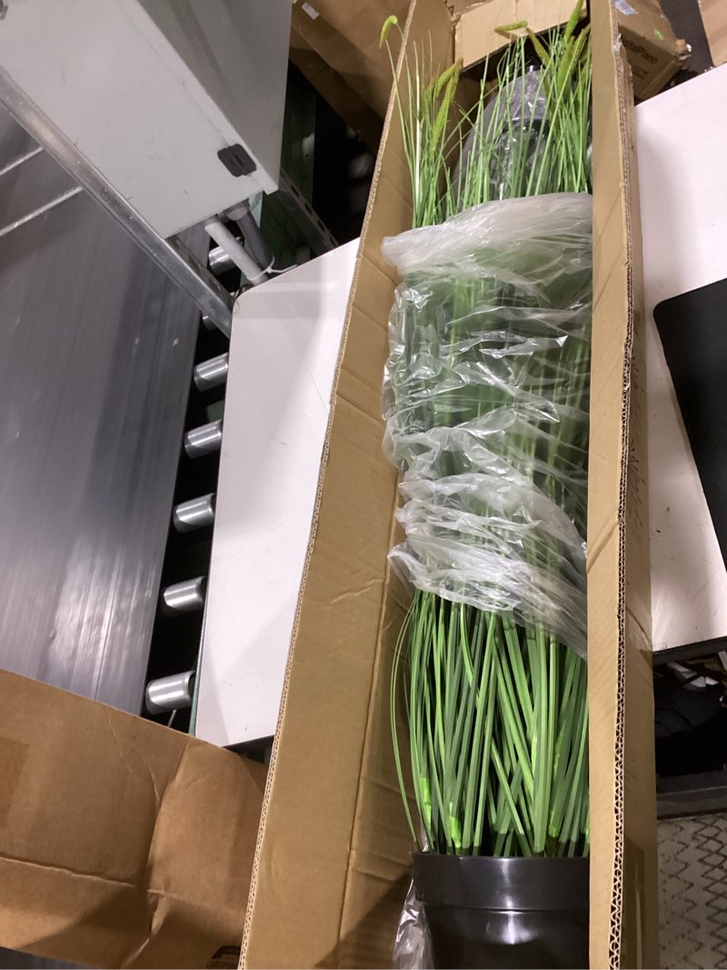 Condition photo showing Good Condition for faux 4ft 2-pack horsetail reed grass with green spikes, 48in tall indoor outdoor fake grass in pot, home office decorative artificial plant & greenery, wedding decor bristlegrass 4ft - 2pack green