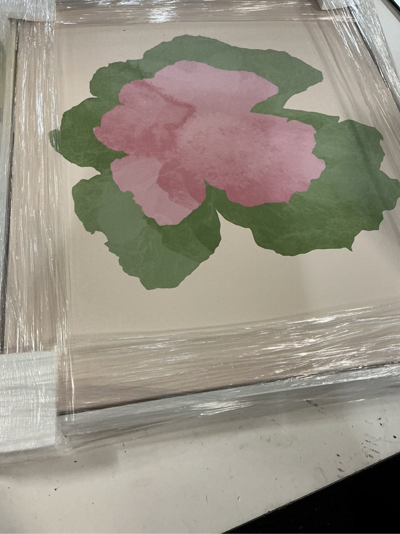 Condition photo showing Good Condition for watercolor one boho decor canvas print by notoriart
