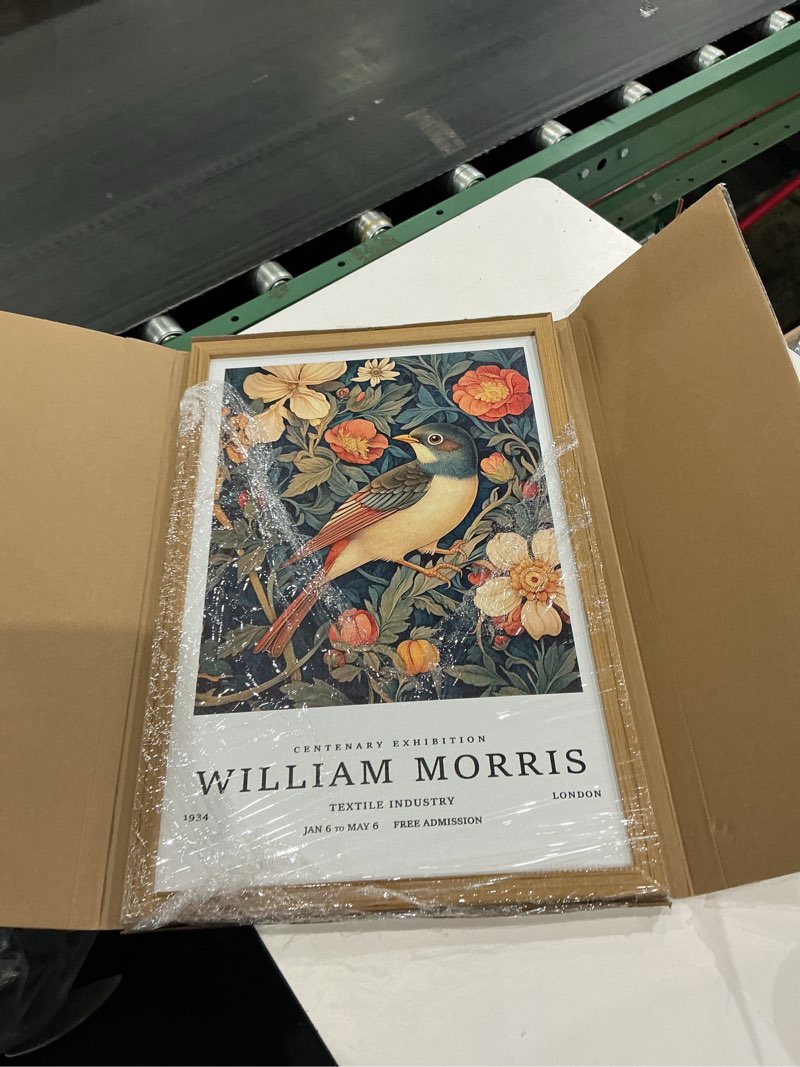 Condition photo showing Good Condition for framed william morris style bird canvas wall art, vintage botanical floral bird poster print, gallery wall decor for living room bedroom bathroom office, 16x24 inch ready to hang 24"l x 16"w