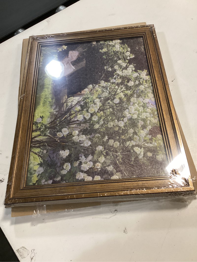 Condition photo showing New/Like New for Gold Framed Vintage Wall Art Retro French Country Garden Landscape Canvas Print Woman Reading Painting Flower Floral Scene Picture Poster Farmhouse Decor for Living Room Bedroom Office 12X16inch 12"L x 16"W style-5