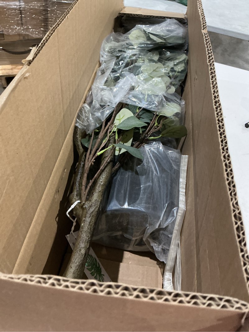 Condition photo showing Good Condition for artificial eucalyptus tree, 5ft tall mordern fake eucalyptus plant with basket, green silk leaves perfect faux trees for home office livingroom floor decor indoor outdoor