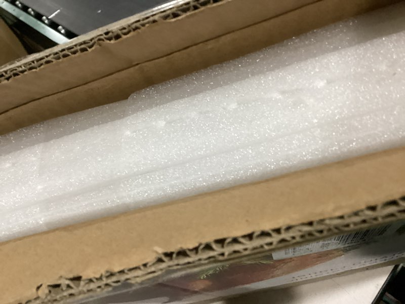 Condition photo showing As Is for Holiday Serving Platter Thanksgiving Turkey Serving Set - Large Ceramic Turkey Platter & Turkey Baster Injector - Perfect for Holiday Dinners