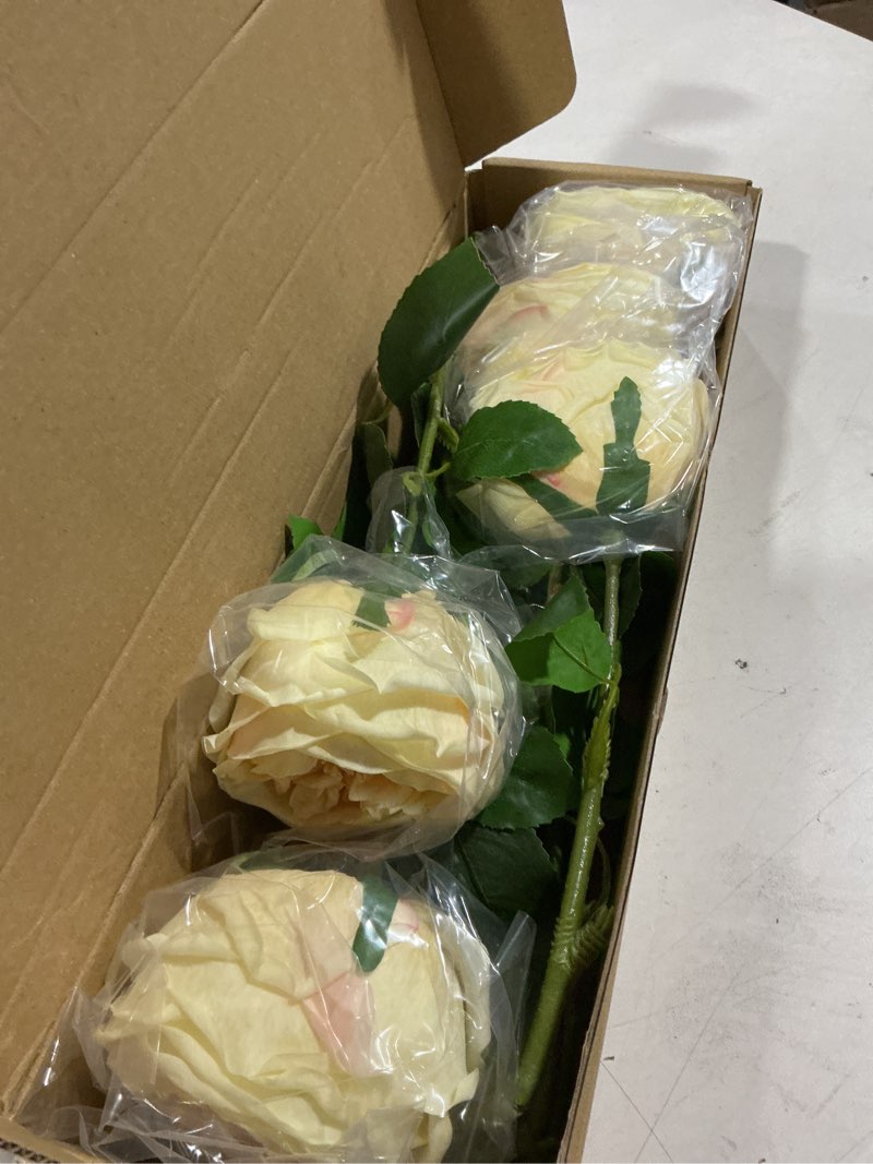 Condition photo showing Good Condition for ipopu 5pcs real touch austin roses champagne flowers peony artificial flowers fake roses with stems for wedding bouquet party home decor(champagne)