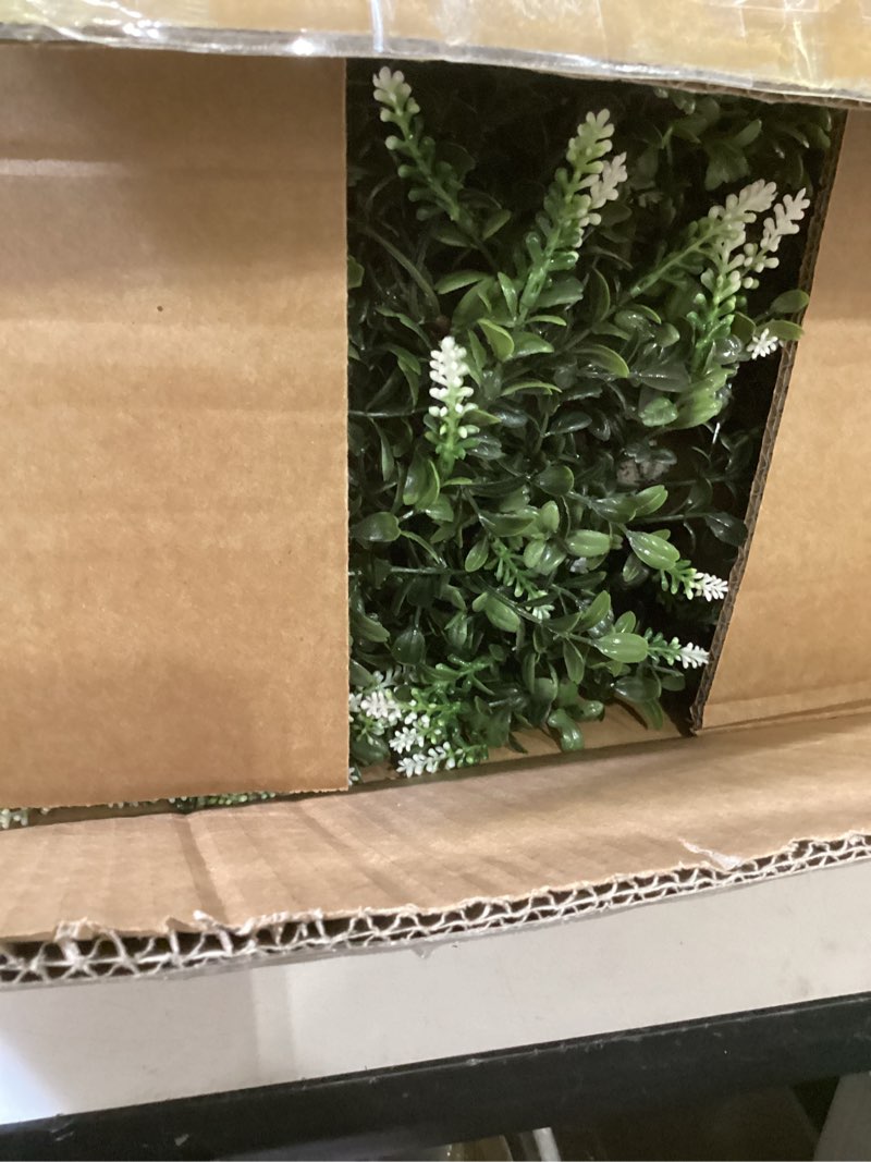 https://lotting-media.assets.bidfta.com/lotting_de686ede-85b1-469b-b9c8-227c29cd745c