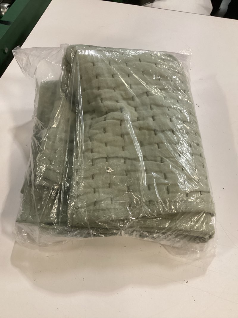 Condition photo showing Good Condition for quince bamboo dream cover quilted euro sham set 2  queen green