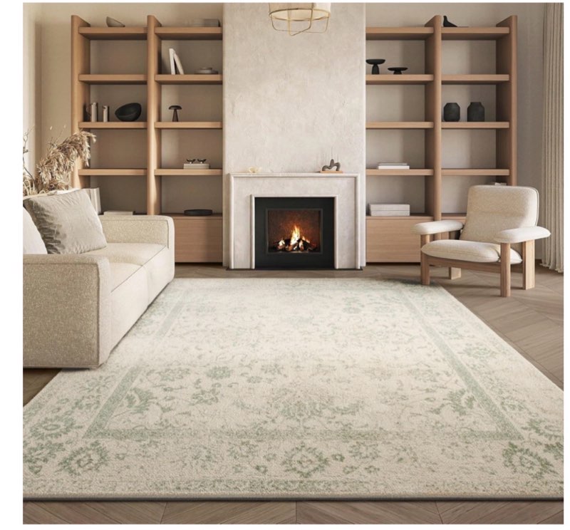 Area rug, size unknown 