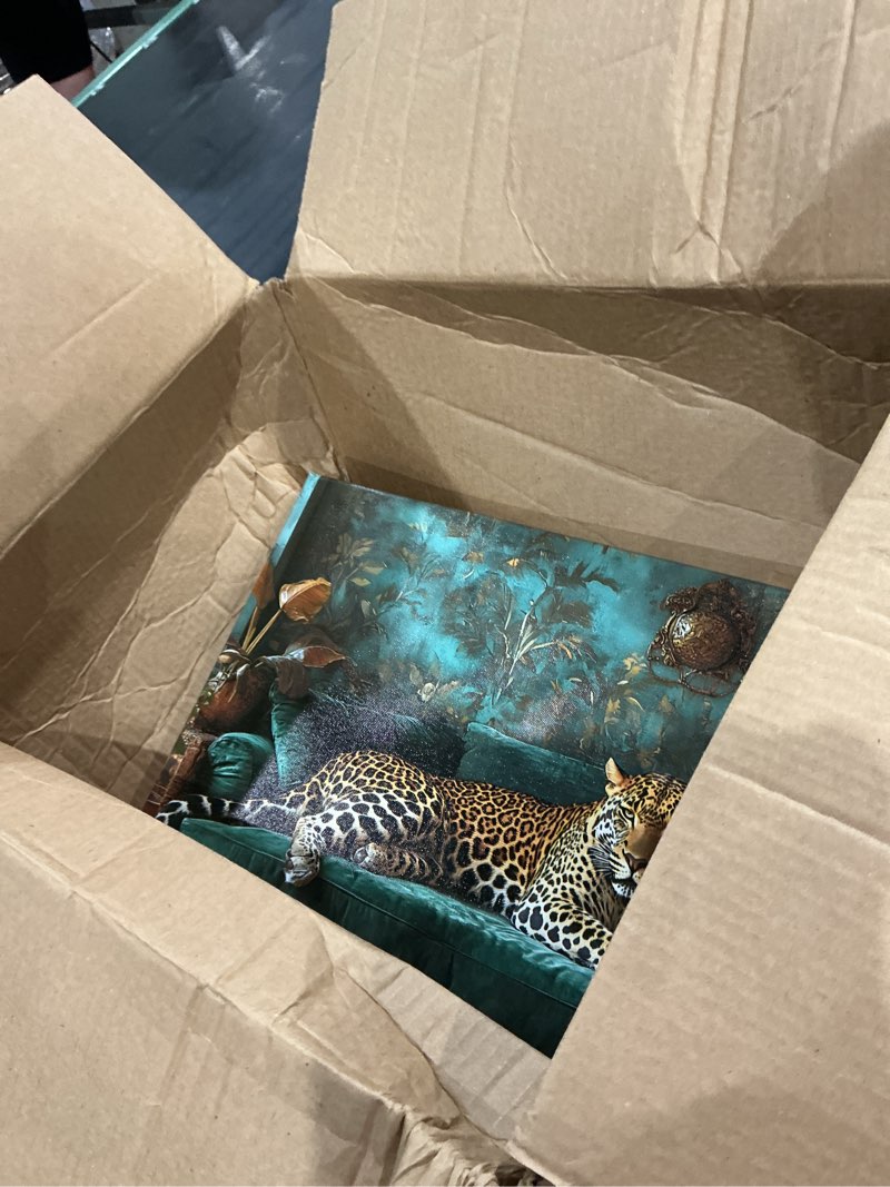 Condition photo showing As Is for vocban funny animal wall art print poster, leopard on the sofa canvas prints painting pictures for living room bedroom kitchen home and office decor - 20x30cm unframed(green)