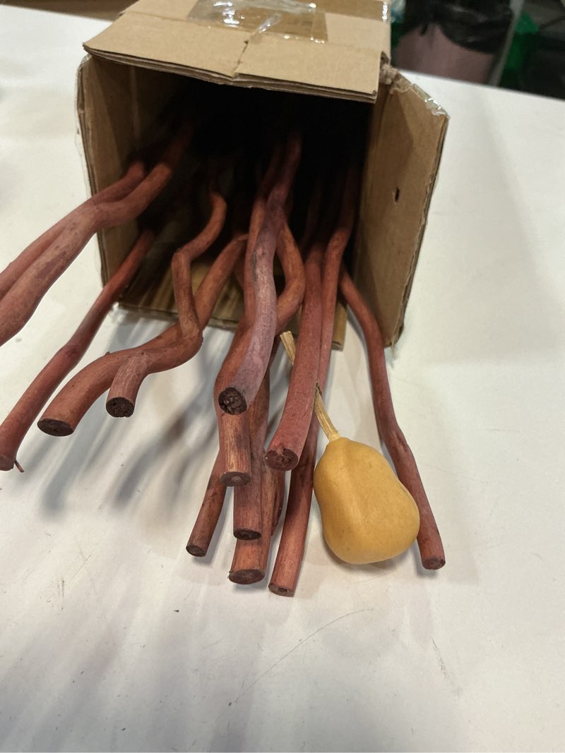 Condition photo showing Good Condition for Dried Curly Willow Branches, 14-15 Stems Dried Twigs Sticks 21-23” Natural Dried Plants Decorative Branches for Rustic Home Decor, Champagne Gold