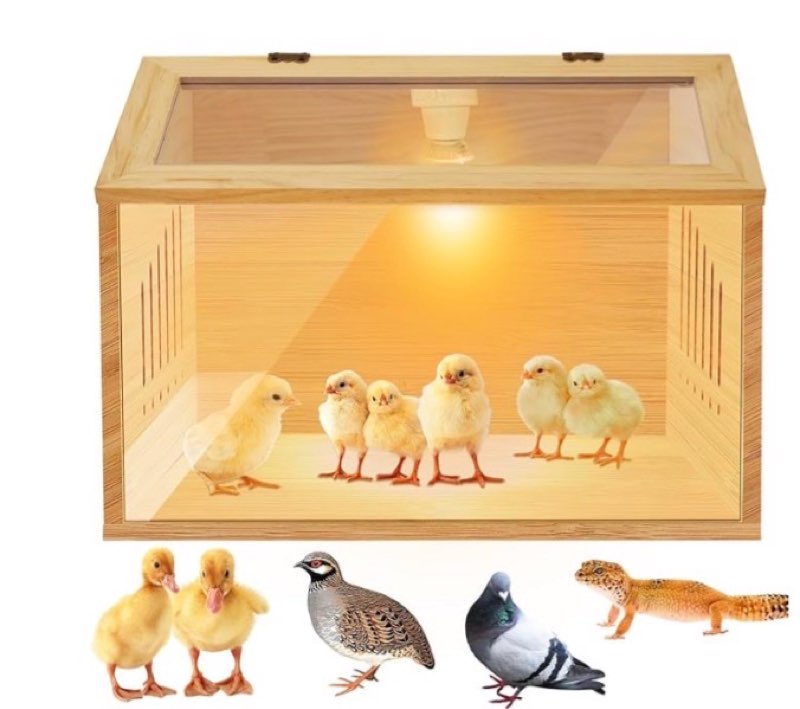 brooder box for chicks?indoor smart wooden poultry brooder with heater, suitable for 5-7 newborn chicks, ducks, quail, etc.?12 * 12 * 15.7inch? 15.7*12*12