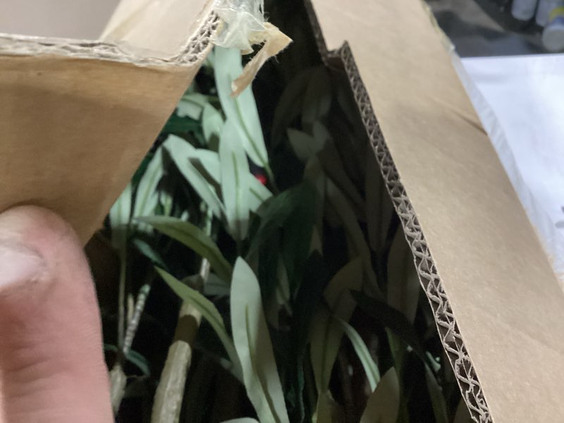 Condition photo showing Good Condition for olive tree 6ft fake tree faux plants indoor with pot artificial tree nearly natural olive branches and fruits for living room home office decorations