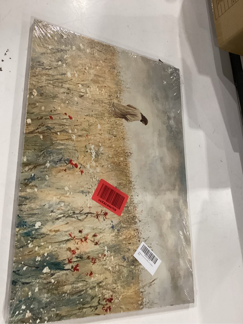 Condition photo showing New/Like New for jesus canvas wall art picture modern christian faith poster prints jesus in wildflower field abstract painting artwork wall decor for living room bedroom office church 16x24in framed canvas 24"l x 16"w