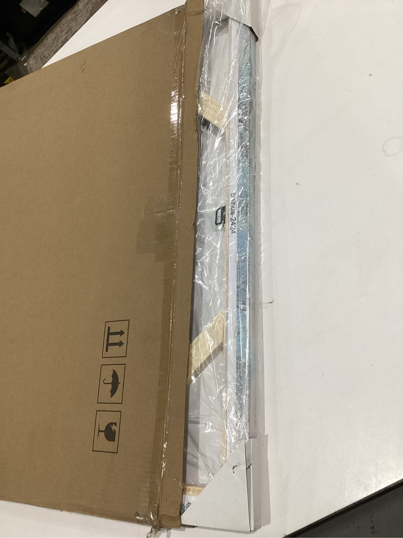 Condition photo showing New/Like New for Waowumar Flowers Canvas Wall Art Blue and White Blossom Pictures Contemporary Palette Knife Floral Textured Painting for Bedroom Living Room Decor White&Blue 23.6"L x 23.6"W