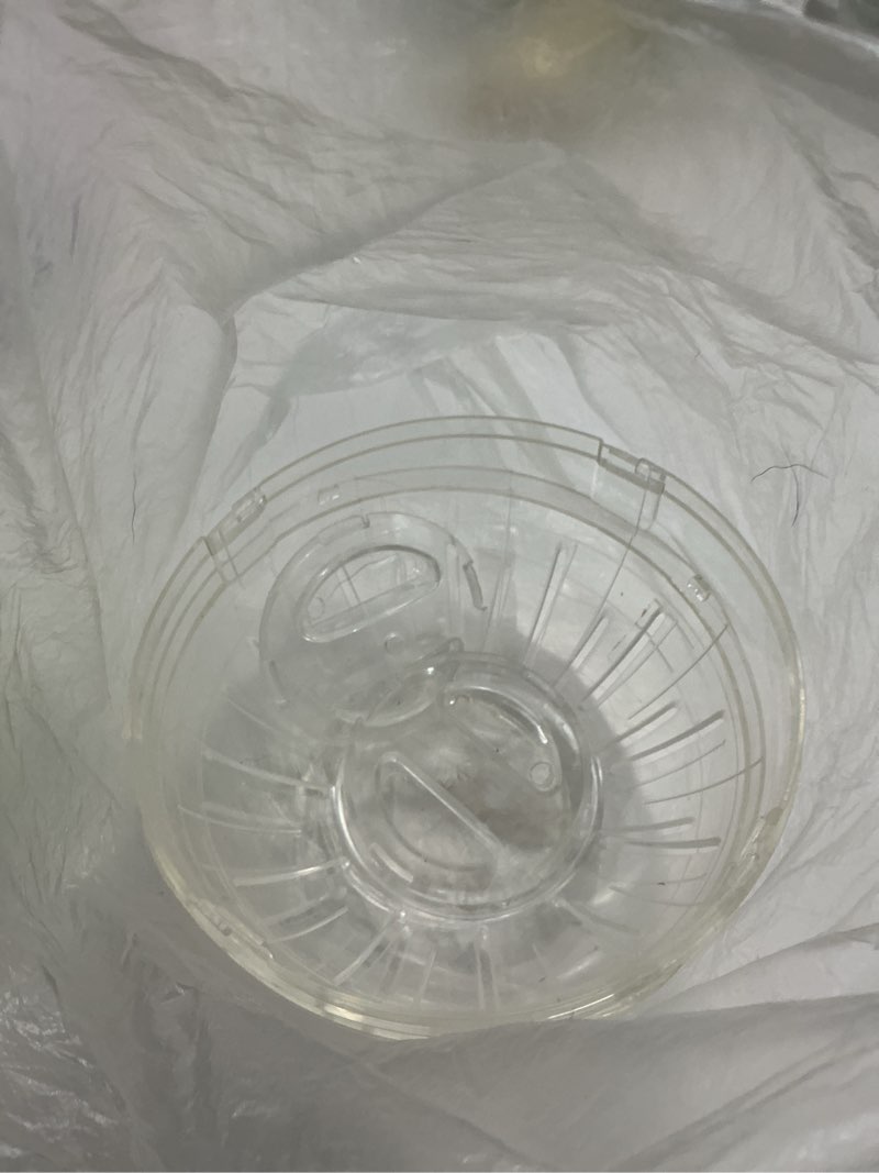Condition photo showing As Is for hamster exercise ball silent hamster wheel small animals transparent ball for dwar rat relieves boredom and increases activity (6 inch, clear)