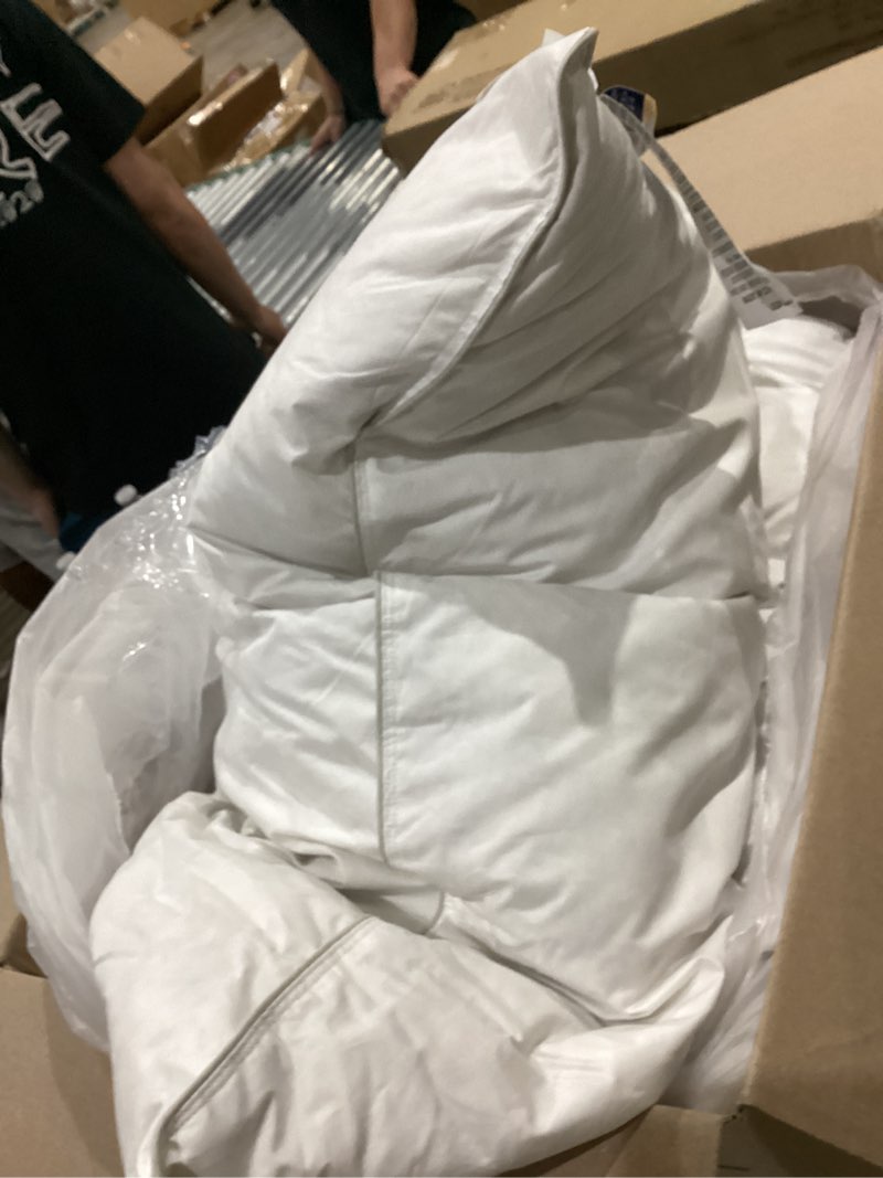 Condition photo showing As Is for down dreams classic queen pillow set of 2