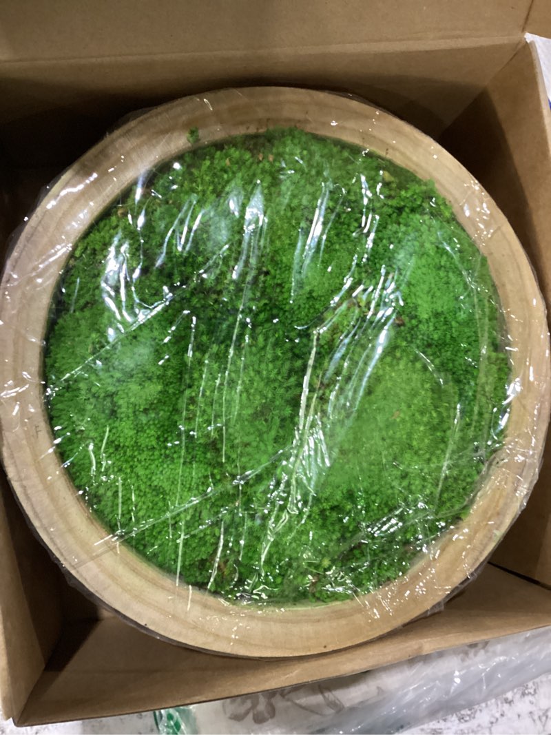 Condition photo showing New/Like New for zhehao 10.5x10.5x4 inch moss wood bowl, artificial moss decorative bowl for centerpiece, natural round centerpiece for wedding table, housewarming gift, living room, office decor