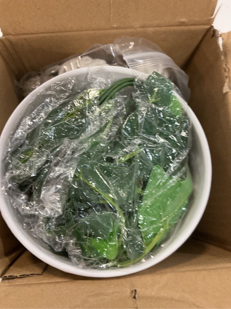 Condition photo showing New/Like New for dreamloom fake hanging plants with pot, artificial ivy hanging plants with macrame hanger for indoor decor, fake hanging vines faux greenery for home kitchen office 1 ivy
