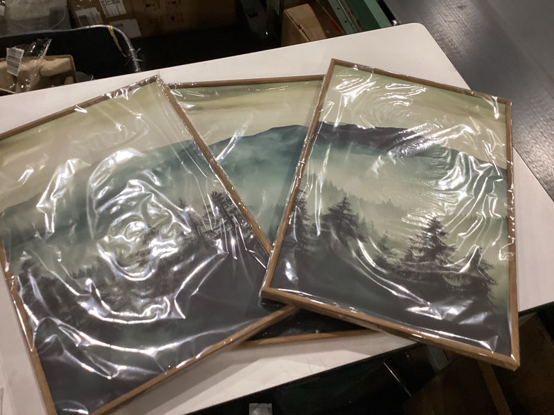 Condition photo showing New/Like New for HOURIA Large Boho Mountain Framed Canvas Wall Art Set,Green Foggy Forest Wall Decor,Watercolor Pine Tree Landscape Wall Painting,Nature Misty Art Print for Living Room,Bedroom, Office- 16"x24"x3 Misty Mountain Wall Art 24L" x 16W"