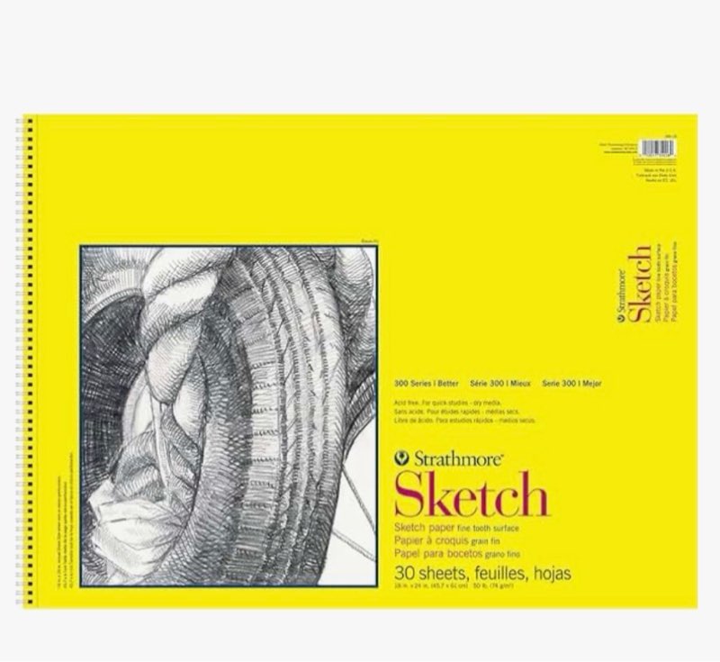 strathmore 300 series sketch pad, 18x24 inch, 30 sheets, side wire - artist sketchbook for drawing, illustration, art class students 18x24 inch pad