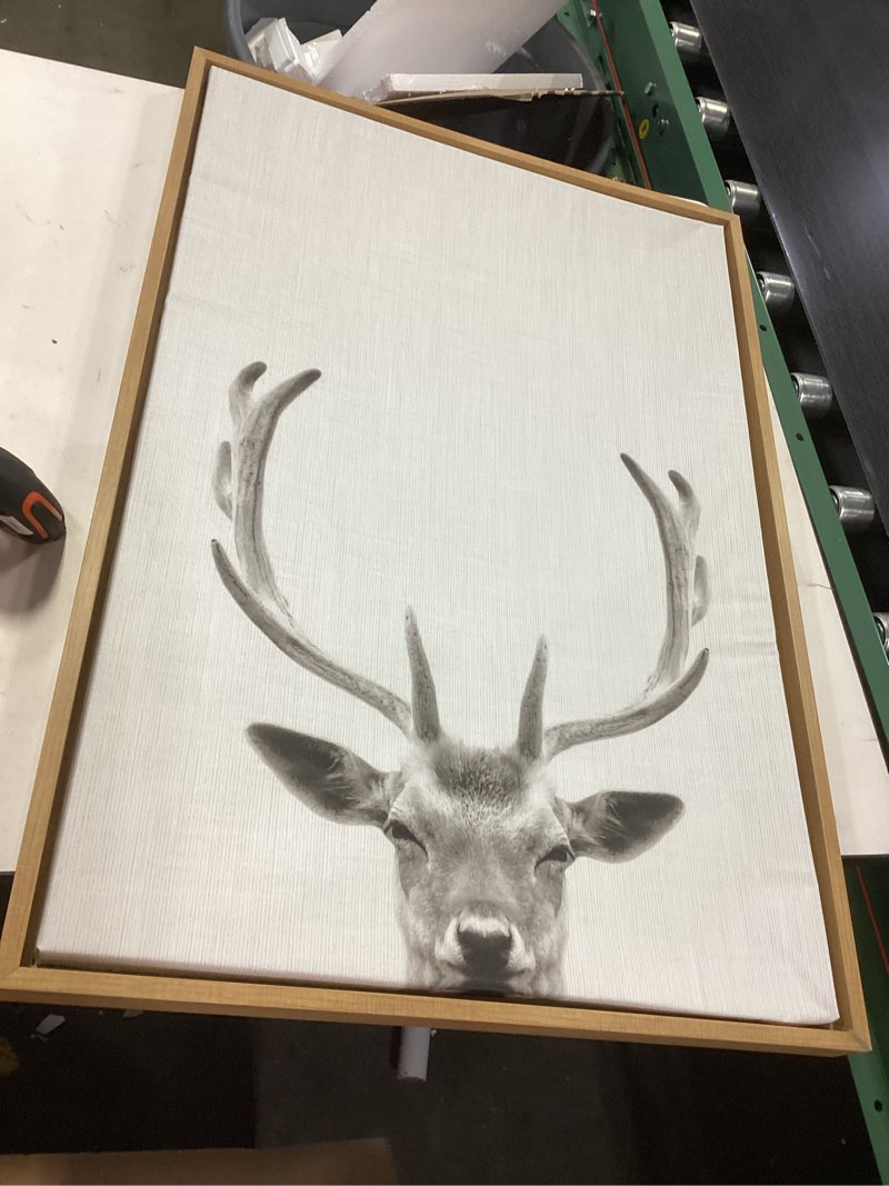 Everything For The Home!