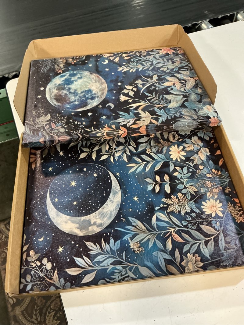 Condition photo showing New/Like New for tolan 2pcs moody celestial canvas wall art 12x16inch | vintage moon plant flower gothic painting pictures wall decor poster prints artwork for living room bedroom unframed poster 16l”x12w“