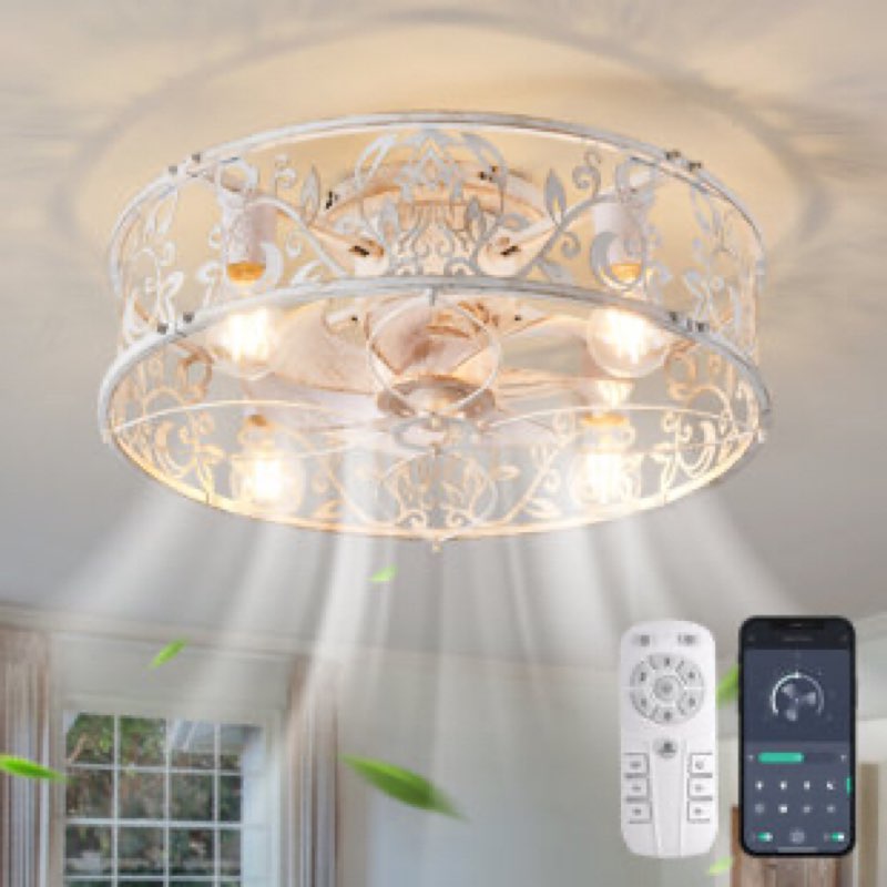 Lopezville 20.1'' Farmhouse Reversible Caged Ceiling Fan with Light Kit And Remote Finish: Distressed White