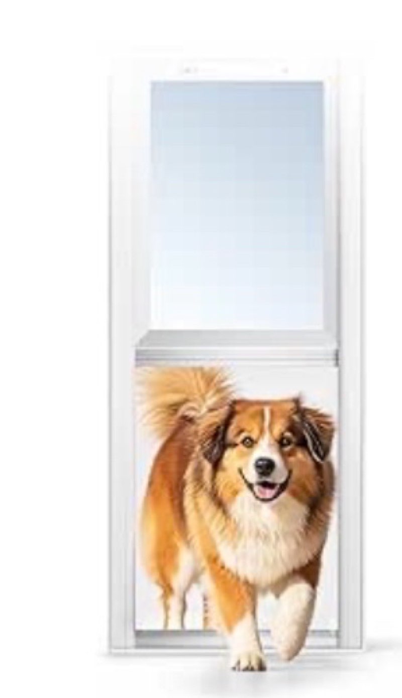 sliding glass dog door l 