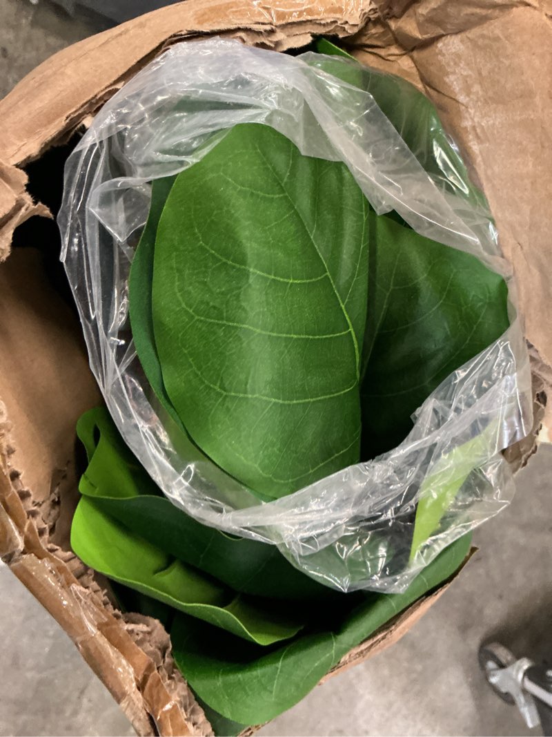 Condition photo showing Good Condition for garvee 6ft artificial fiddle leaf fig tree with black nursery planter for indoor outdoor