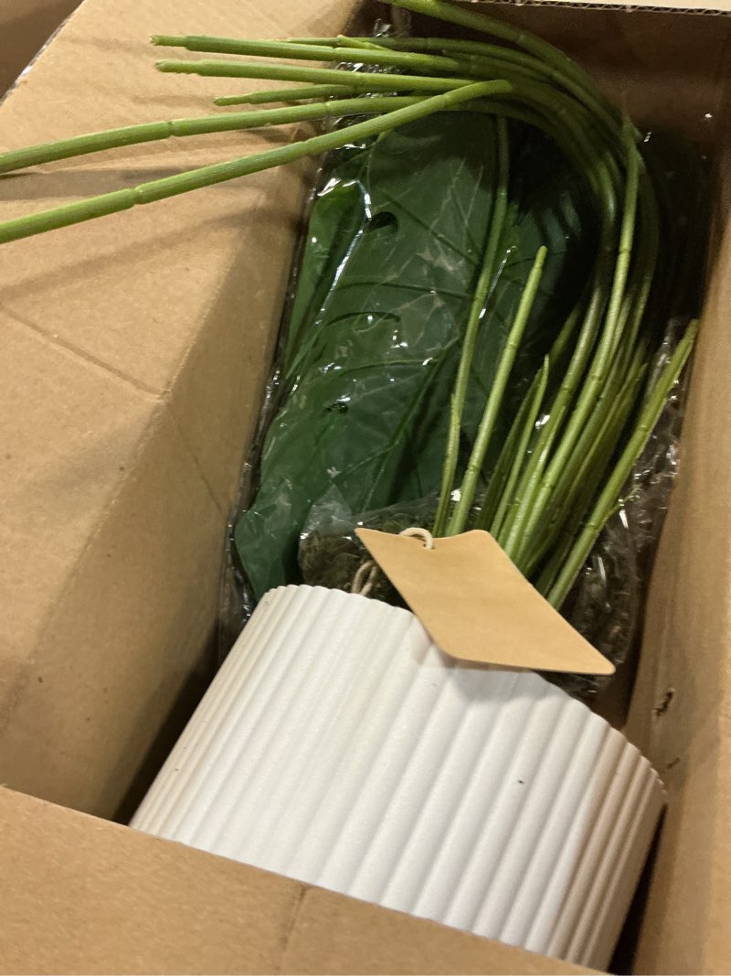 Condition photo showing New/Like New for Der Rose 28" Fake Plants Large Artificial Monstera Faux Potted Plants Indoor Tall for Outdoor Living Room House Floor Front Porch Tree Decor 1 28"-WHITE