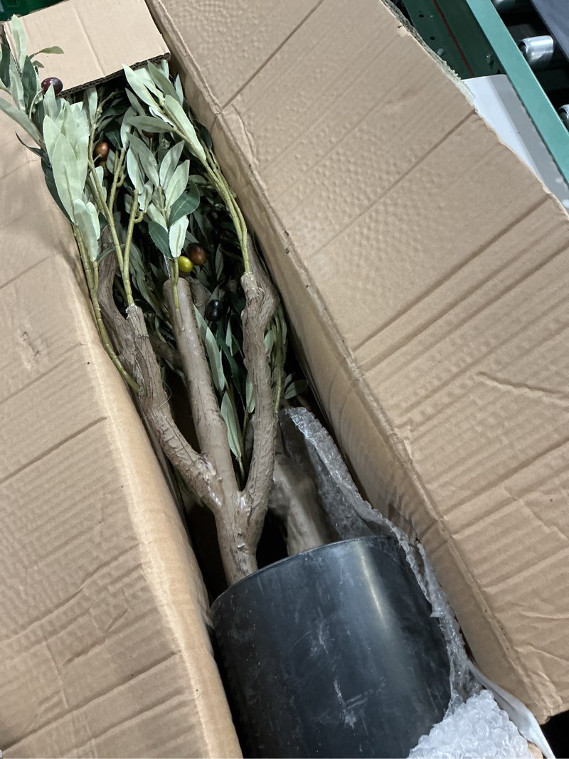 Condition photo showing As Is for artificial olive tree