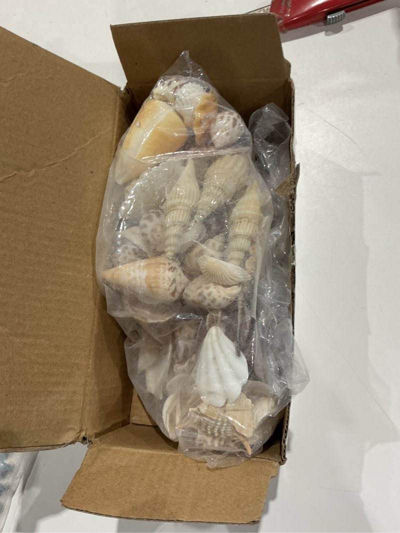 Condition photo showing Good Condition for super z outlet mixed ocean beach fairy garden assorted seashells marine life for decorations, arts & crafts, party favors collection (approx. 50 pieces)