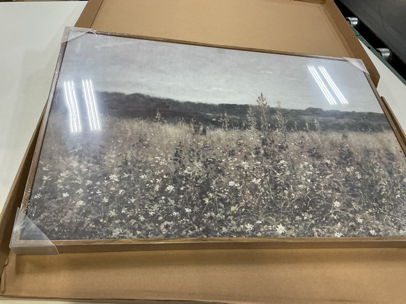 Condition photo showing New/Like New for insimsea framed canvas wall art vintage decor, wildflower field vintage wall art canvas prints, modern farmhouse bathroom home wall decor, 16"x24" champ fleuri 24"l x 16"w
