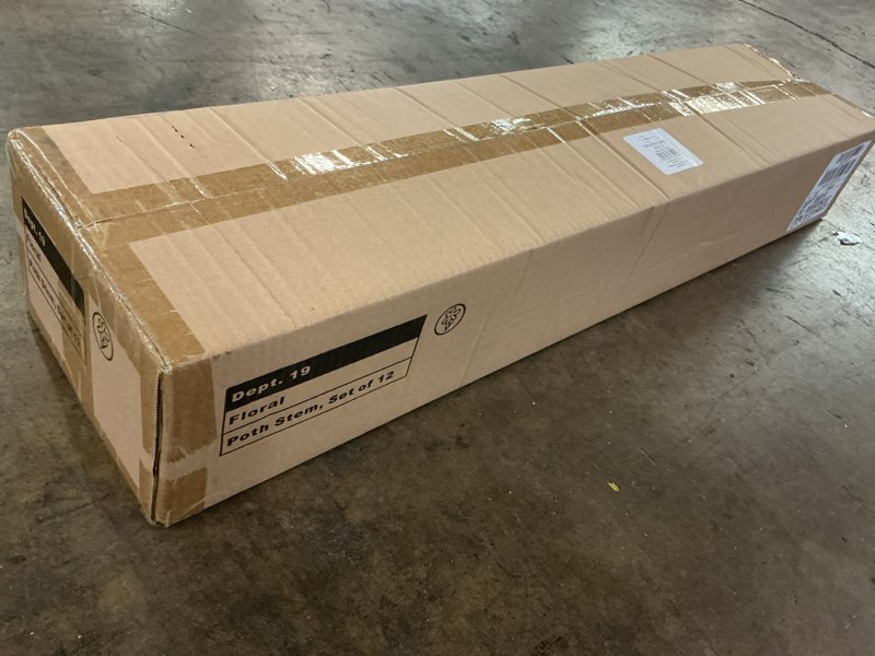 Condition photo showing New/Like New for pothos plant stems set of 12 