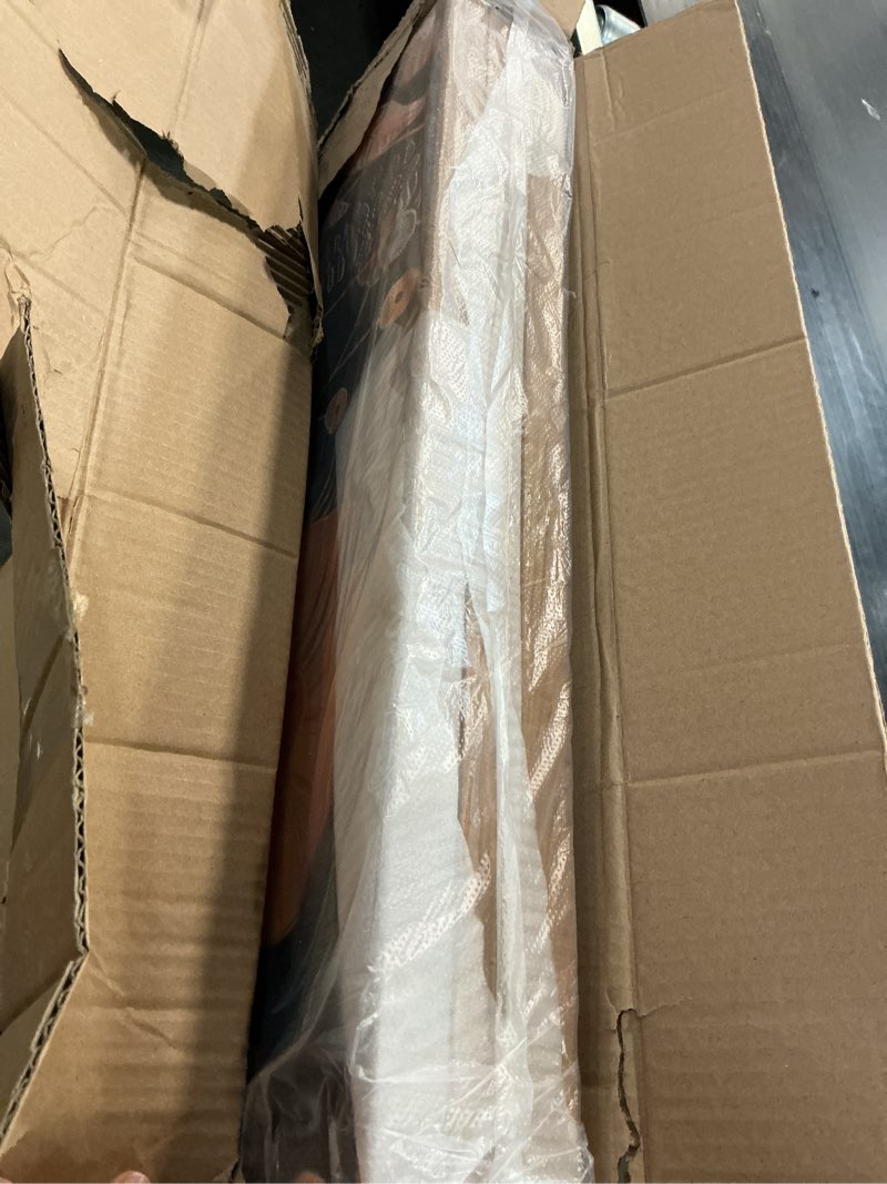 Condition photo showing Good Condition for SIGNINART Orange Floral Framed Canvas Wall Art Set of 3, Mid Century Modern Flower Wall Decor, Neutral Plant Artwork, Boho Botanical Art Prints for Bedroom Living Room Office 24"x36"x3 Floral 36L" x 24W"