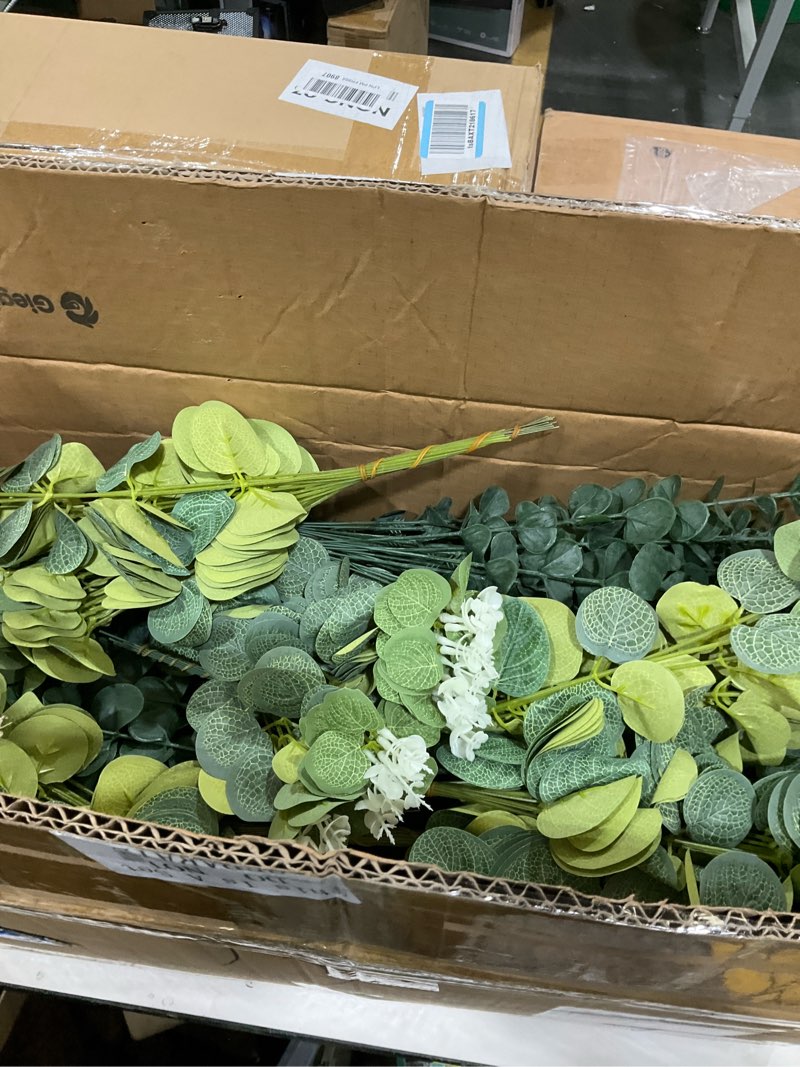 Condition photo showing As Is for Giegxin 1000 Pcs 3 Kinds Mixed Eucalyptus Leaves Stems Bulk Artificial Silver Dollar Leaves Picks Dried Eucalyptus Bundle Faux Spray for Wedding Vase Bouquet Floral Arrangement (Green) Green 1000
