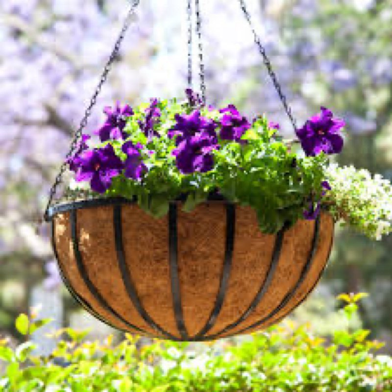 Hanging basket planter (set of 2)