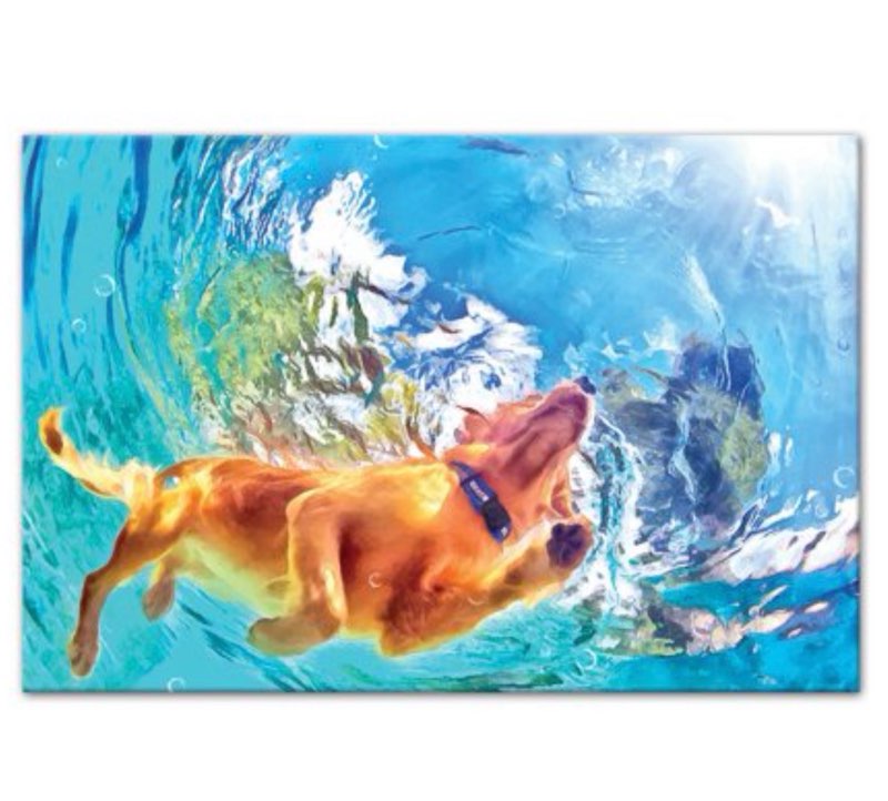 Painted Underwater Dog 24x36 Canvas Wall Art