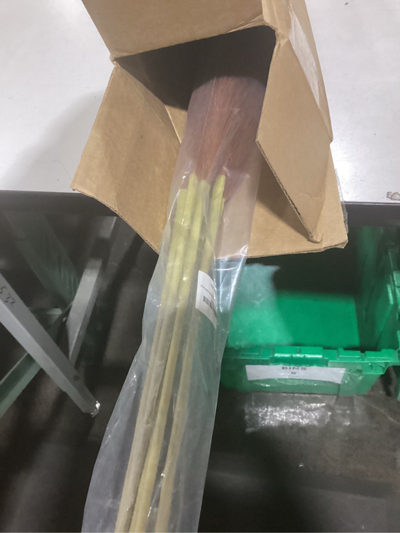 Condition photo showing Good Condition for Burnt Orange Pampas Grass, 8 Pcs 45 Inch Tall Large Faux Pompous Grass, Long Artificial Flowers for Floor Vase, Wedding, Party, Baby Shower, Farmhouse and Fall Decor (Burnt Orange)