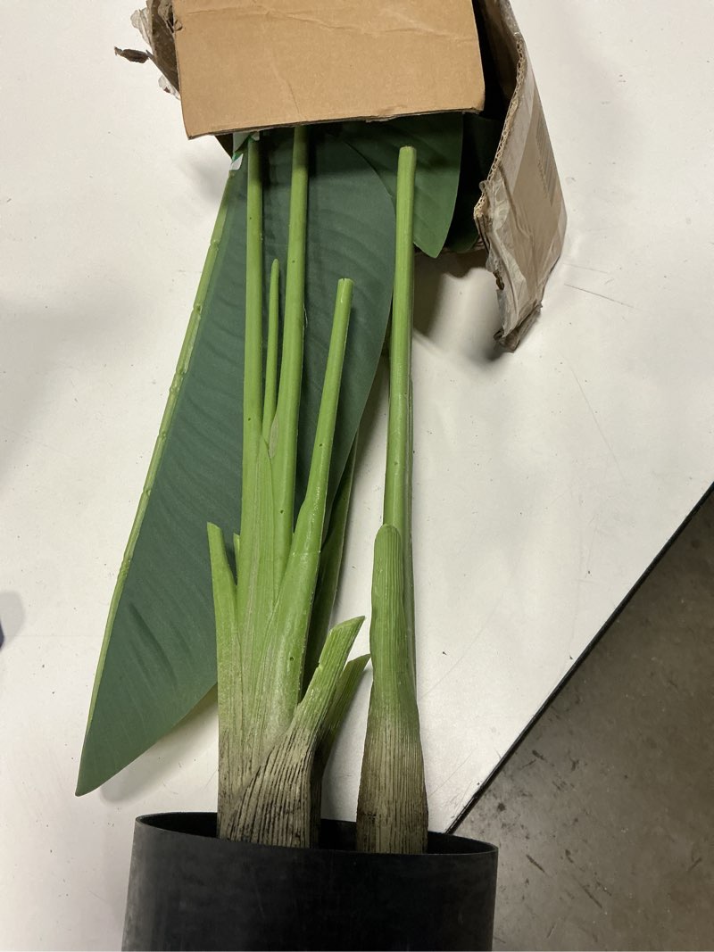 Condition photo showing As Is for vevor artificial bird of paradise tree, 5 ft tall faux plant, pe material & anti-tip tilt protection low-maintenance plant, lifelike green fake tree for home office warehouse decor indoor outdoor bird of paradise 5ft