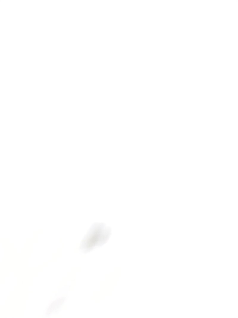 https://lotting-media.assets.bidfta.com/lotting_e106dec3-16f8-4a9c-b9ed-8d0345e84d56