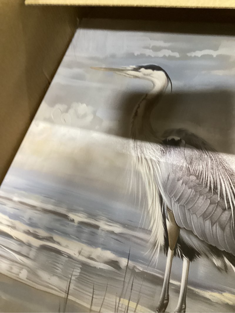 Condition photo showing Good Condition for swqylb heron canvas wall art bird picture grey heron on beach picture prints abstract coastal animal artwork for rustic farmhouse decor framed (blue, 16.00" x 24.00") blue 24"l x 16"w