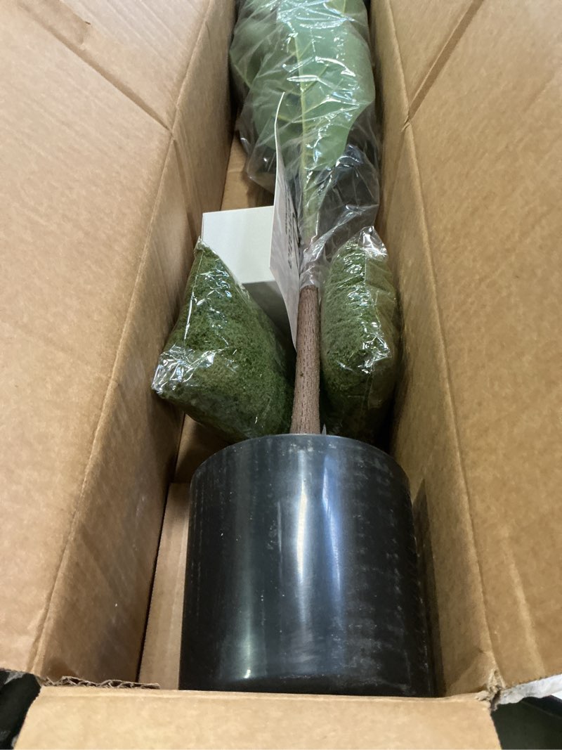 Condition photo showing Good Condition for Artificial Fiddle Leaf Fig Tree 3ft (36 Inch) Tall - with Remote LED Spotlight - Realistic Faux Potted Plant & Moss for Living Room & Office Decor