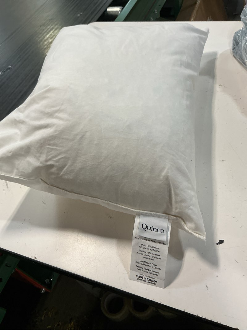 Condition photo showing As Is for premium down alternative pillow 16”x21”